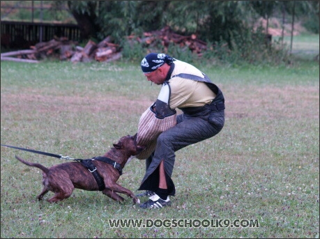 Training camp - Lukova 2007